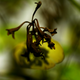 Image for article titled Shooting Challenge Freelensing Gallery 1
